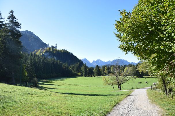 Wanderweg unterhalb des Reith-Lifts mit Blick auf Schloss Neuschwanstein