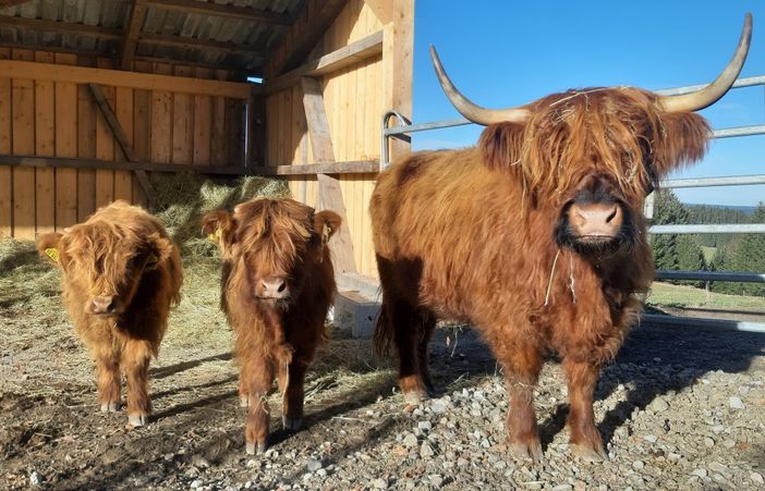 Mama mit Nachwuchs