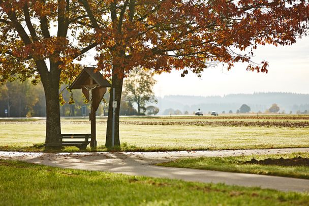 Moosberg-Rundweg