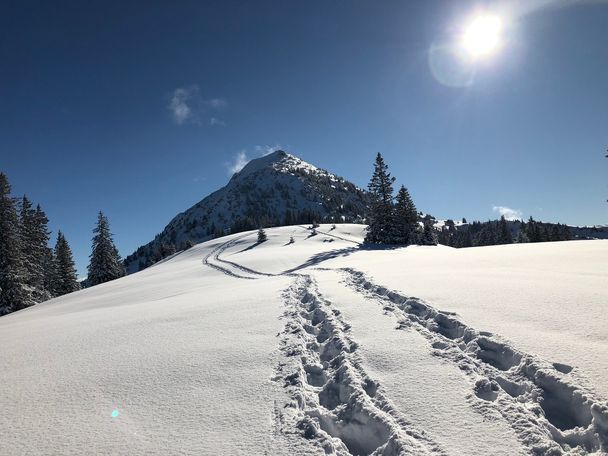 Edenalpe-Nesselwängle