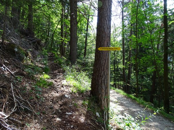 Abzweig vom Ländeweg in Richtung Schwärzerweg