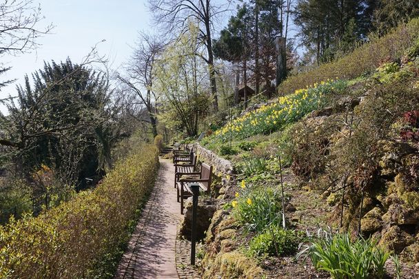 Klostergarten - Ein besonderer Ort in der bunten Altstadt Kaufbeuren