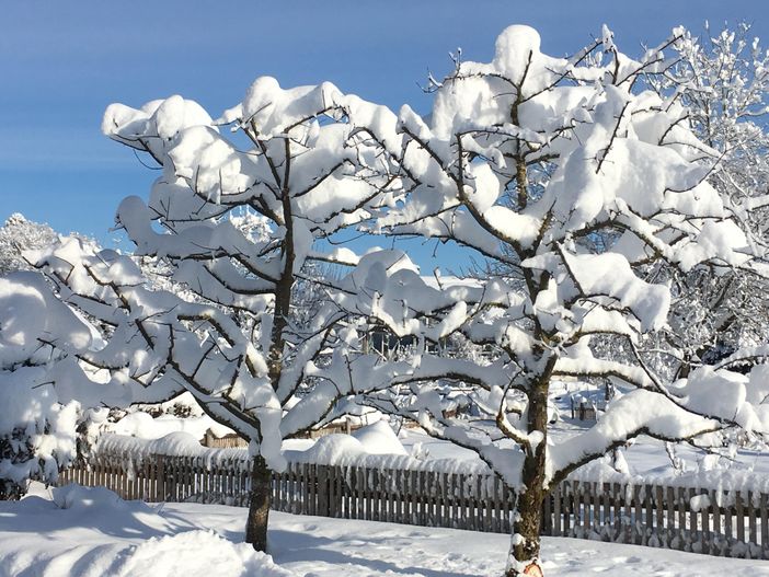 Winter in Nieratz