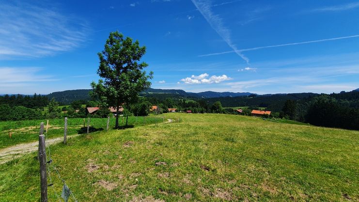 Blick vom Fernberg nach Pferrenberg