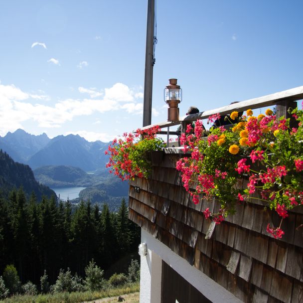 Hiking trail to Drehhütte and Rohrkopfhütte (mountain huts)