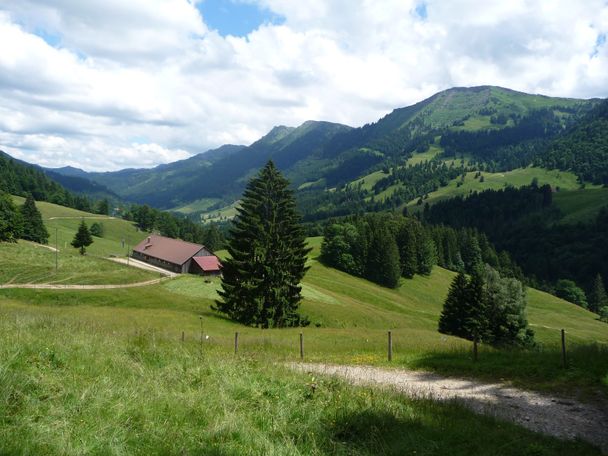 Alpgebiet am Imberg