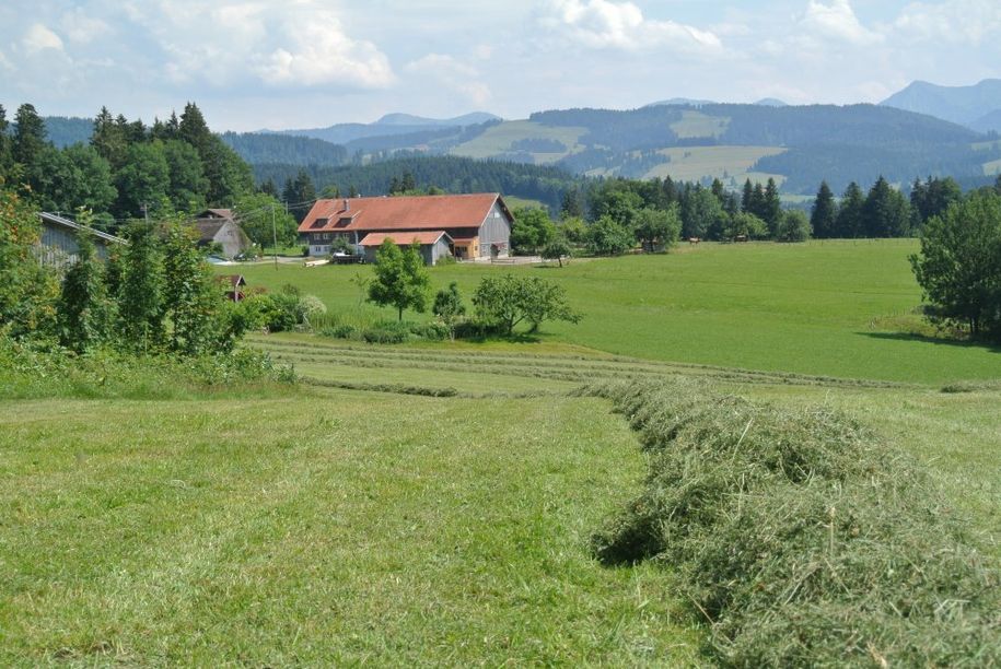 Hof mit Blick in die Ferne