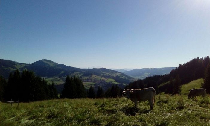 Wanderwelt Oberstaufen