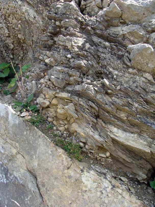 Grenze zwischen Nagelfluh und Sandstein- und Mergelschichten.