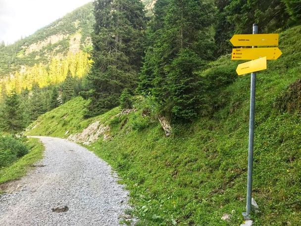 Forstweg Richtung Älpele