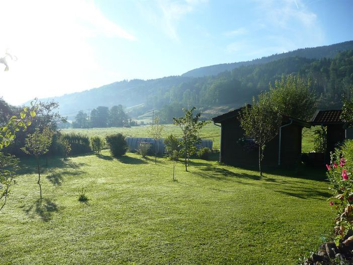 Garten im Morgenlicht