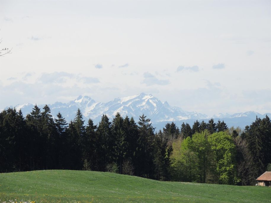 Aussicht von Gumpeltshofen