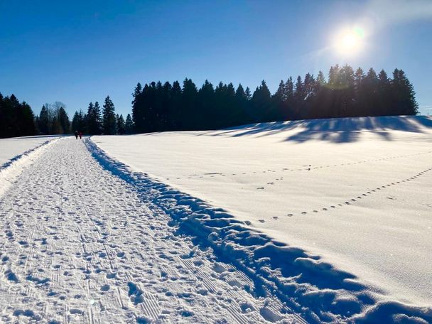 Winterwanderweg Hopfen - Stiefenhofen