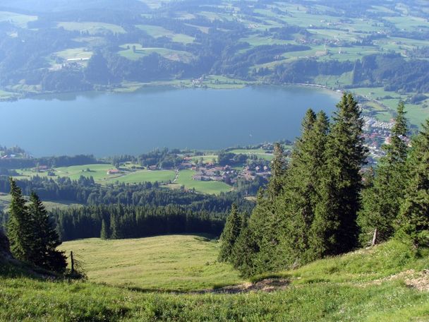 Vom Alpsee übers Immenstädter Horn – Die ganze Vielfalt des Naturparks