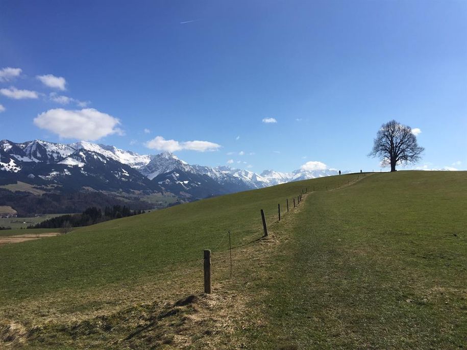 Wittelsbacher Höhe