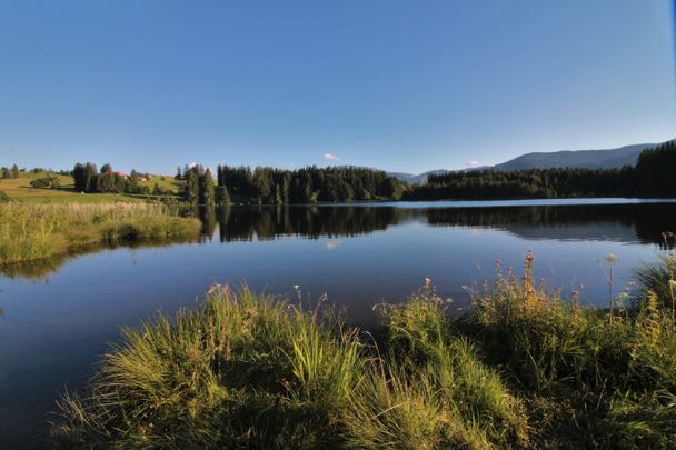 Badestelle am Kögelweiher