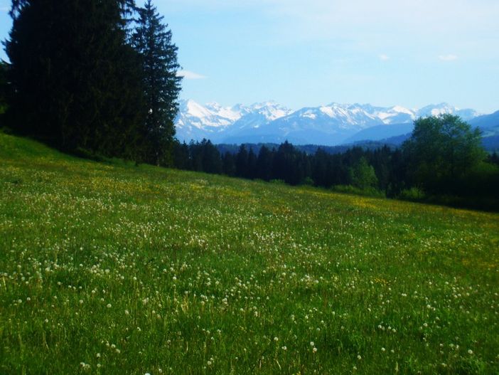 Bergblick im Frühling von der Sitzecke aus