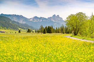 Frühling in Tannheim        Foto: TVB Tannheimer Tal/Achim Meurer