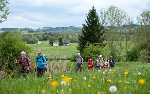 Crescentia-Pilgerweg - Impression