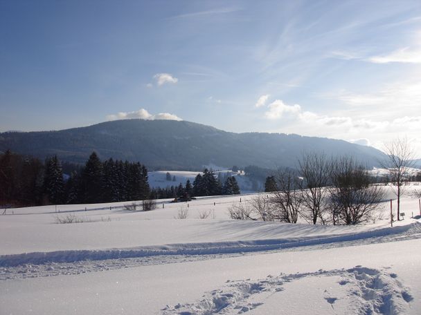 Winterlandschaft am Hanusel Winterwanderweg (7)