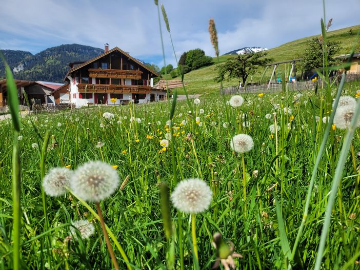 Hausfront mit Spielplatz