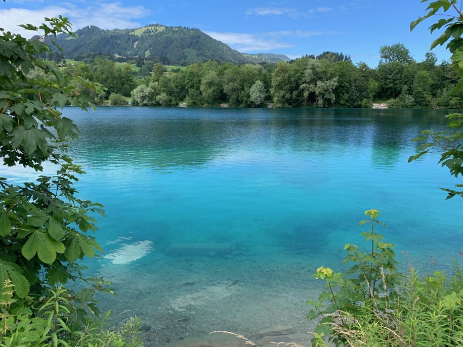 Ortwanger Baggersee Sommer