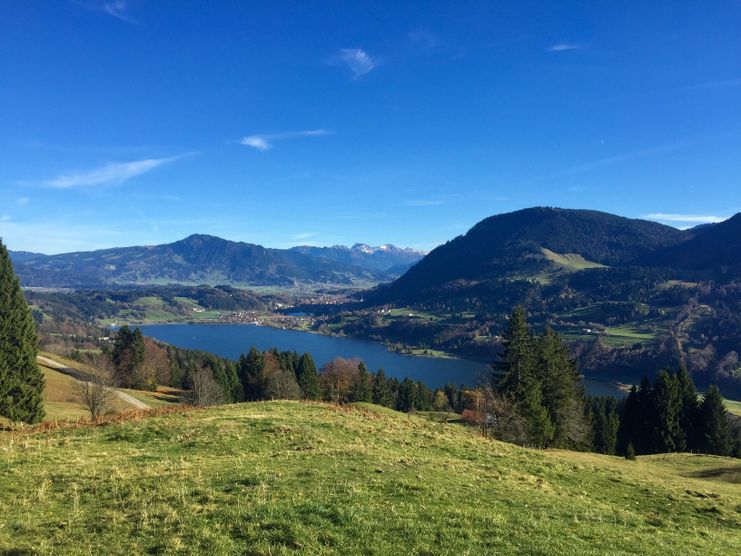 Alpsee-Tiefblick