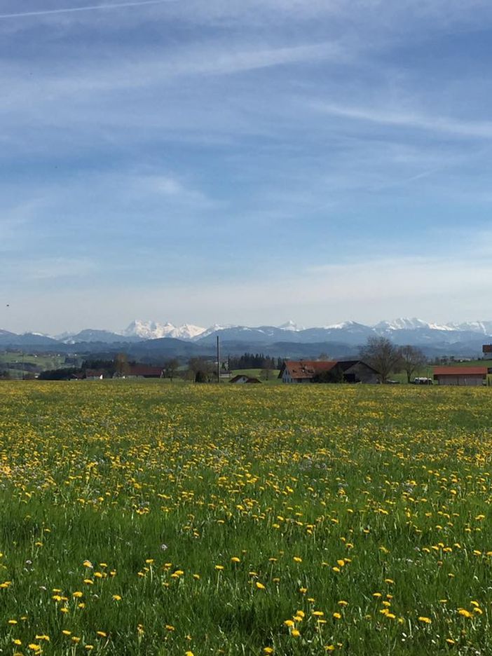 Frühling im Allgäu