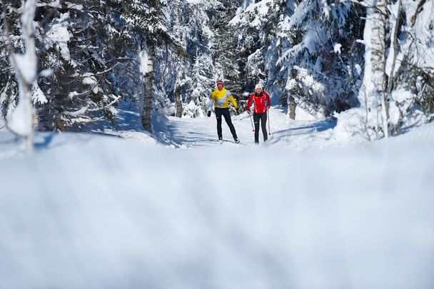 Auf der Moosloipe durch Niederwald