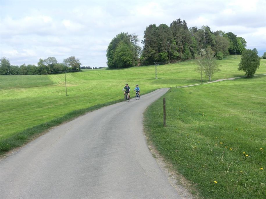 Mit dem Fahrrad im Grünen