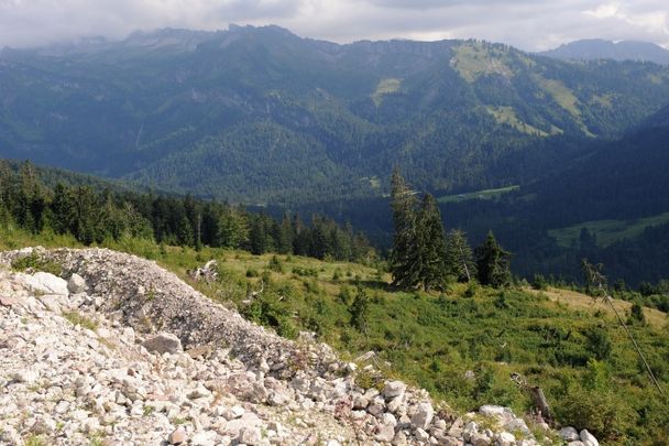 Alles fließt in Sibratsgfäll - Der Erdrutsch am Feuerstätterkopf