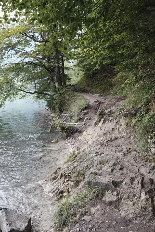 Rutschige Stelle am Alpsee-Rundweg