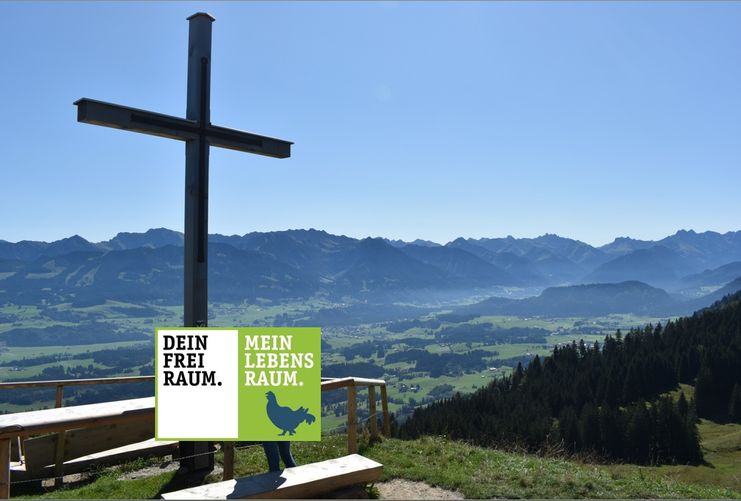 Blick vom Ofterschwanger Horn