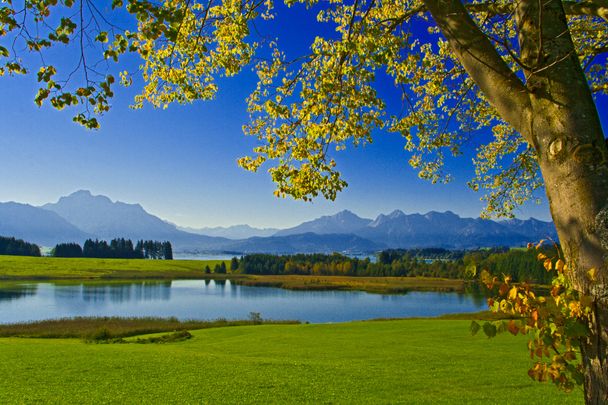 Halblecher Panoramablick auf Illasbergsee und Forggensee