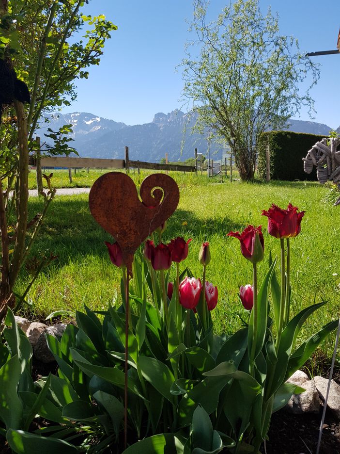 Impressionen aus unserem Garten