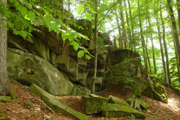 Moosbewachsene Felsen auf dem Weg zum Hinanger Wasserfall