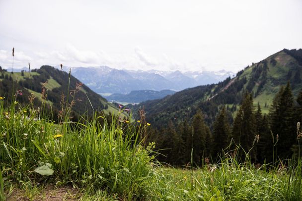 Berghaus Schwaben - Bolsterlang