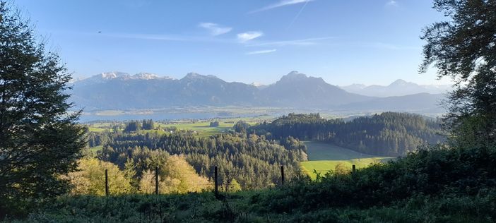 1039 Wanderung auf das Buch