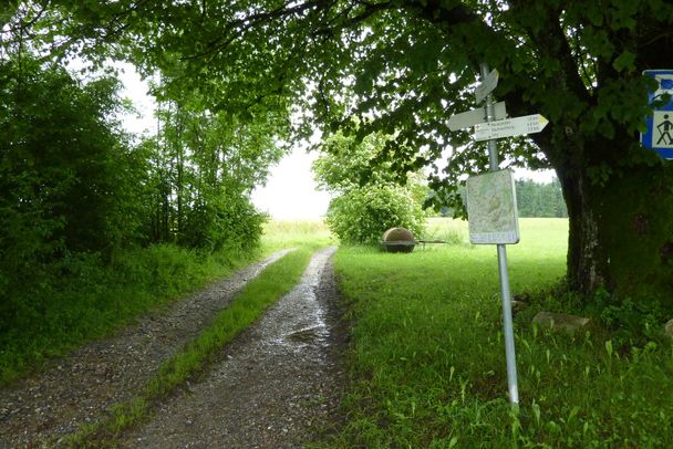 Wegekreuzung bei Gumpeltshofen