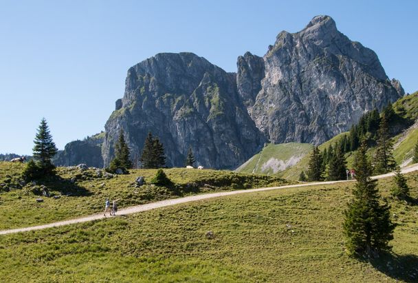 Wanderung auf der Hochalpe