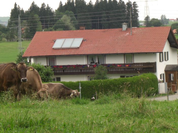 Haus Bolz, Sommer, Bild 3