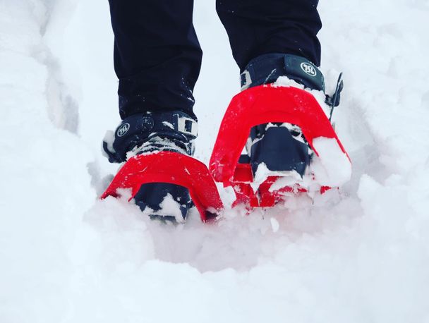 Winterwanderung_mit_Schneeschuhen_in_Isny