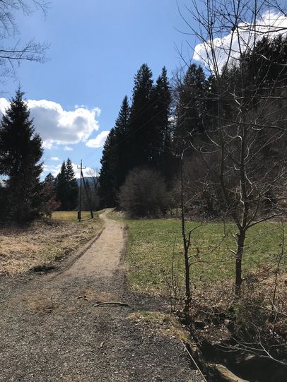 Feldweg zurück nach Bolsterlang