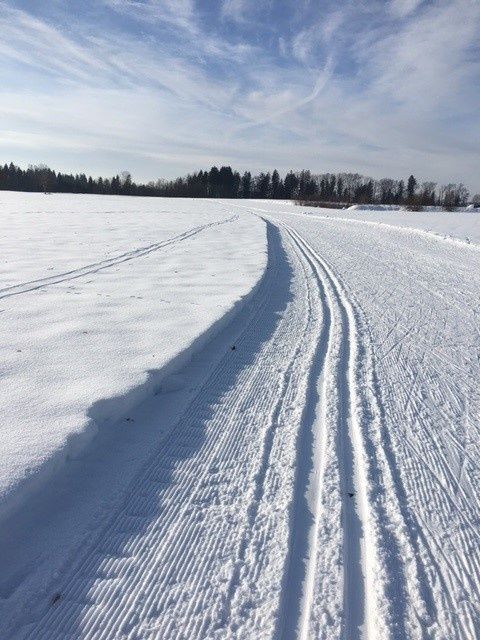 Verbindungsloipe Grünenbach