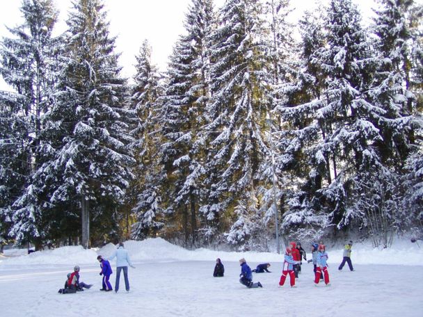 Eislaufen, Eisstockschießen, Schlittschuhe