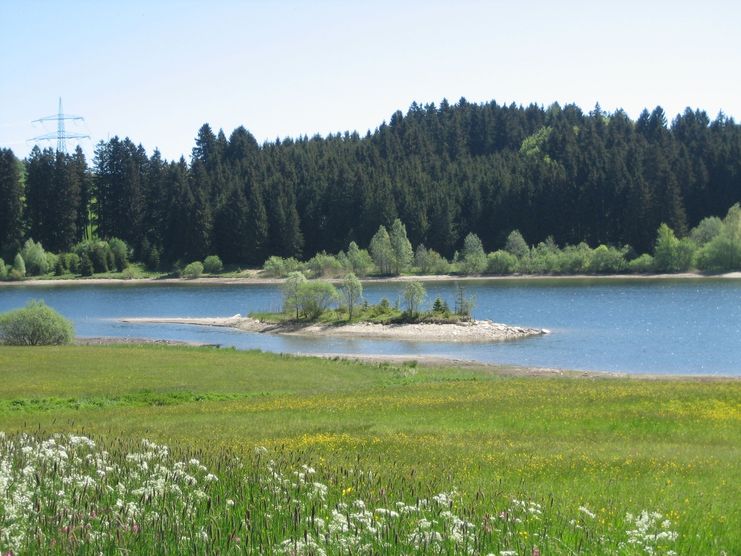 Rottachsee-Insel