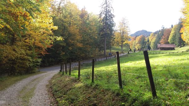 Einmündung des Forstweges auf die Alatsee-Fahrstraße