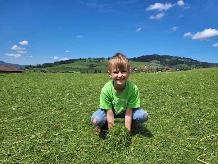 Frisch gemähtes Gras