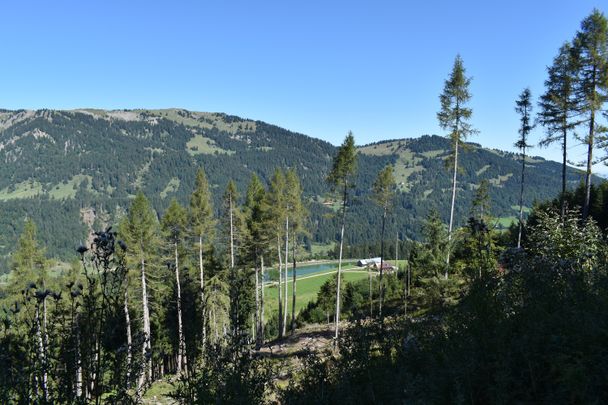 Von Gunzesried übers Ostertaltobel aufs Ofterschwanger Horn