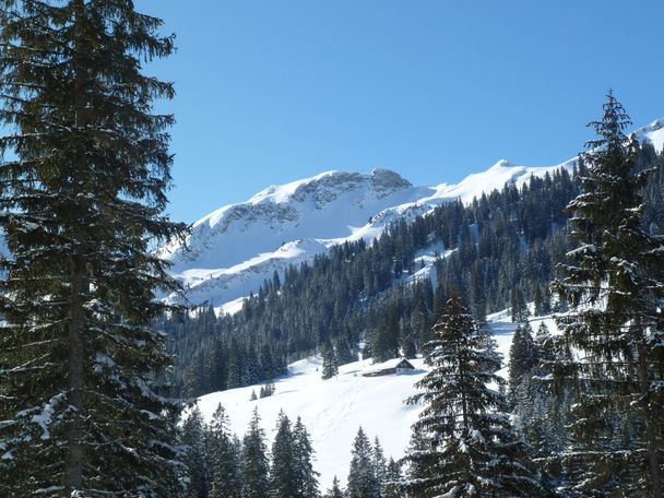 Blick auf die Sulzspitze im Winter